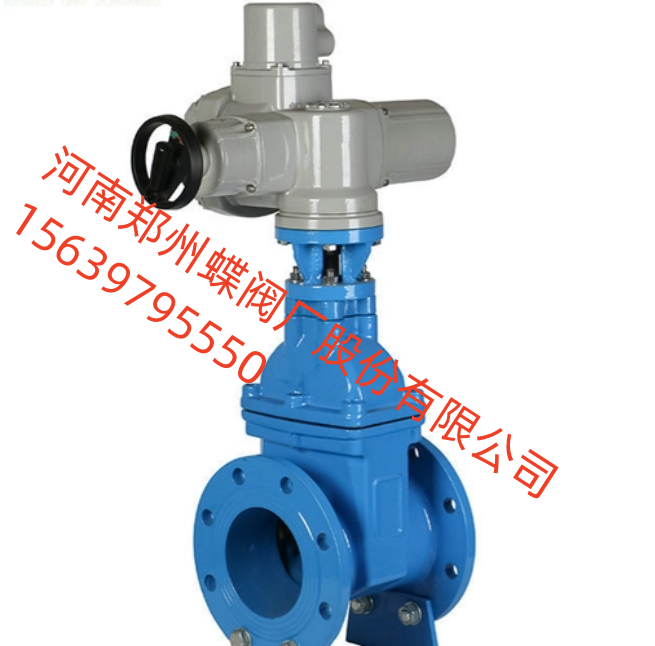 河南阀门之乡，展销会进行中