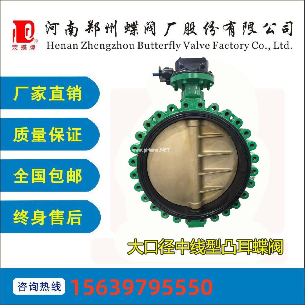 大口径中线型凸耳蝶阀