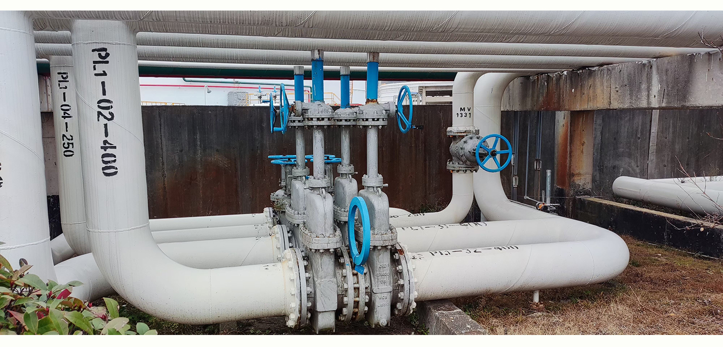 2020年与某港口合作案列